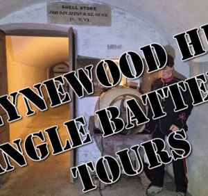 Steynewood Tours