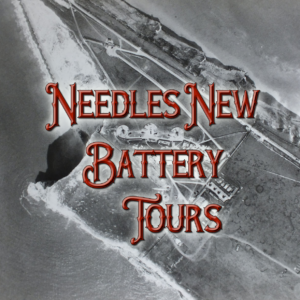 Needles New Battery